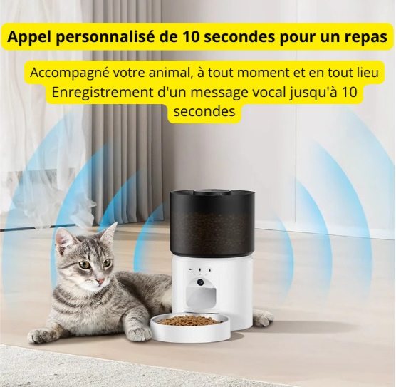Distributeur automatique de nourriture pour chat avec caméra vidéo