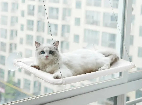 Hamac pour chat avec fenêtre ensoleillée