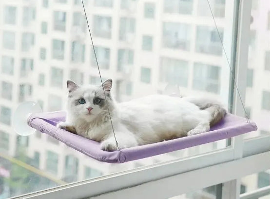 Hamac pour chat avec fenêtre ensoleillée