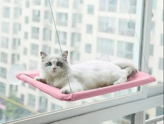Hamac pour chat avec fenêtre ensoleillée