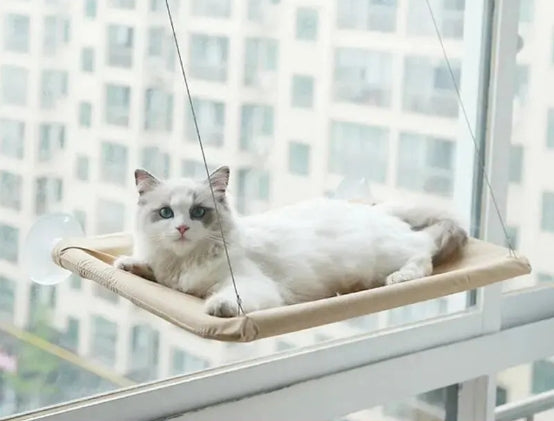 Hamac pour chat avec fenêtre ensoleillée