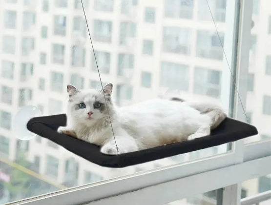 Hamac pour chat avec fenêtre ensoleillée