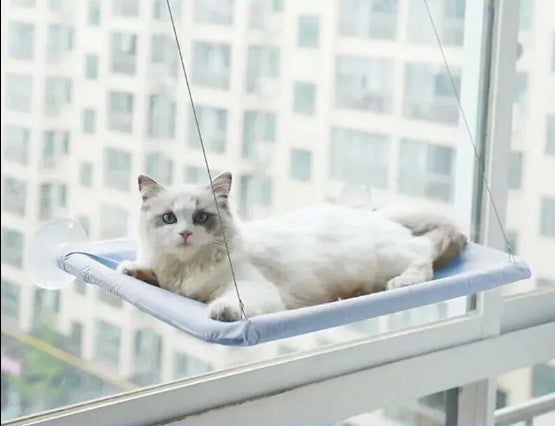 Hamac pour chat avec fenêtre ensoleillée