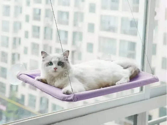 Hamac pour chat avec fenêtre ensoleillée