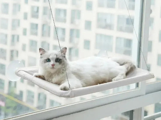 Hamac pour chat avec fenêtre ensoleillée