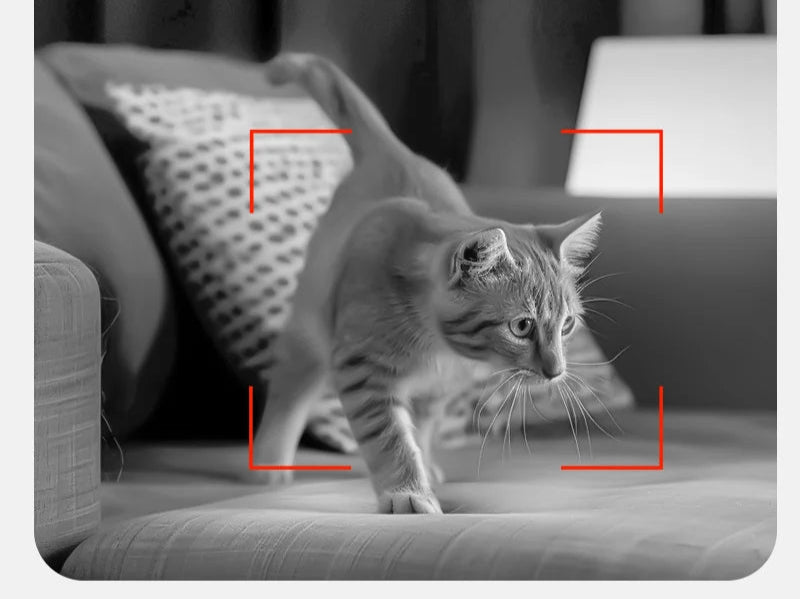 Distributeur automatique de nourriture pour chat avec caméra vidéo
