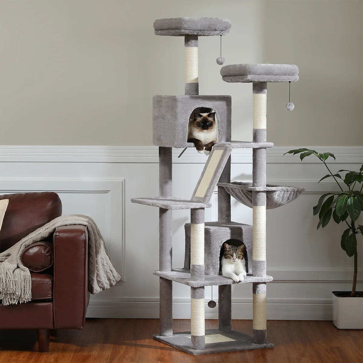 Grand arbre à chat d'intérieur H180 cm