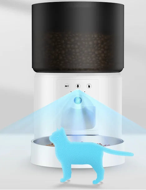 Distributeur automatique de nourriture pour chat avec caméra vidéo